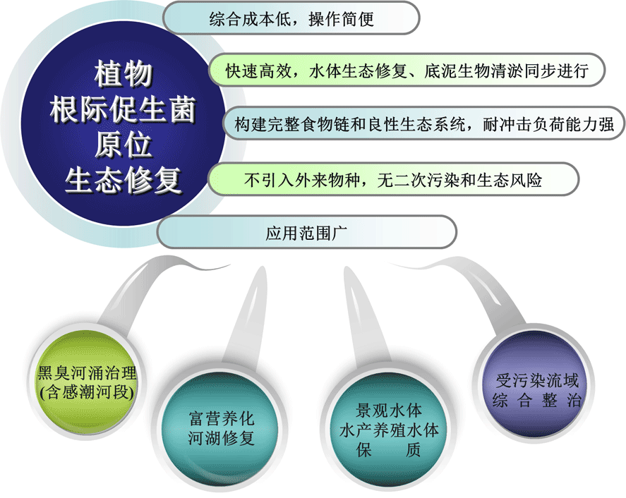 植物根际促生菌原位生态修复 3.png